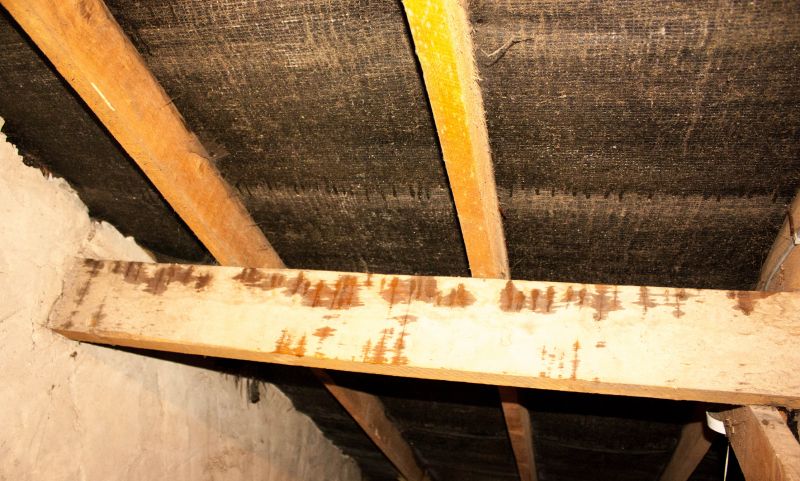 Attic Water Damage Repair in Denver, CO