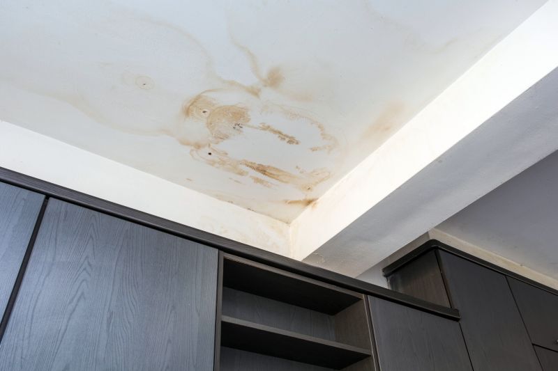 Attic Water Damage Repair in Alpharetta, GA