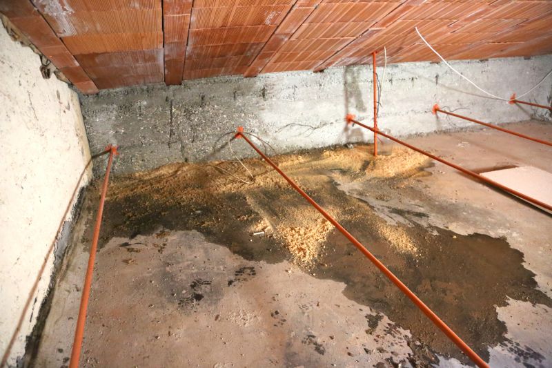 Attic Water Damage Repair in Denver County, CO