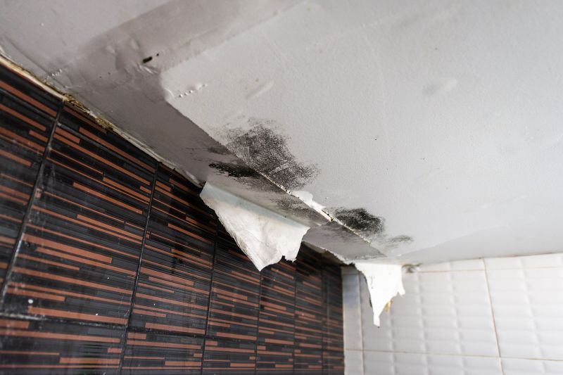 Ceiling Leak Repair Service in Alpharetta, GA