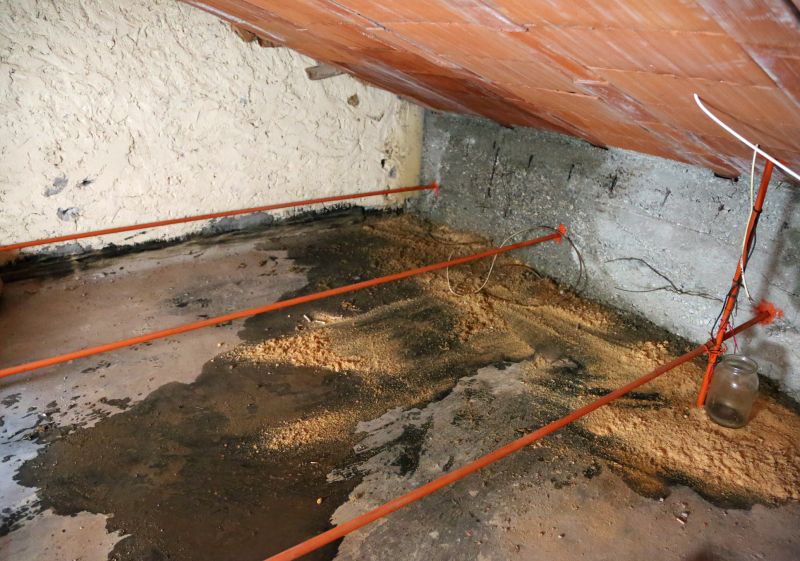 Ceiling Leak Repair Service in Charleston, SC
