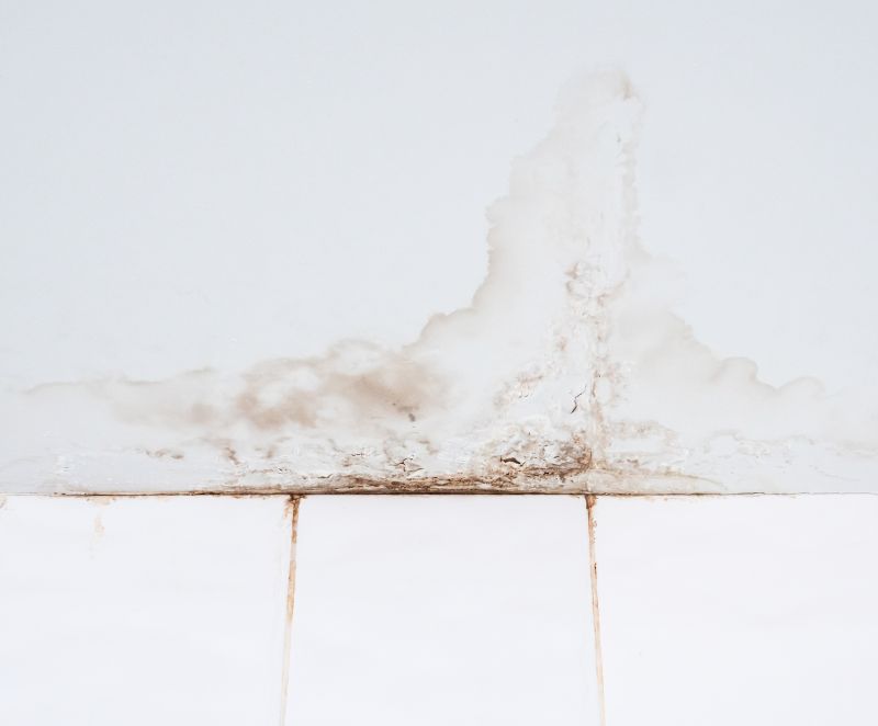 Water Damage Ceiling Repair in Houston, TX